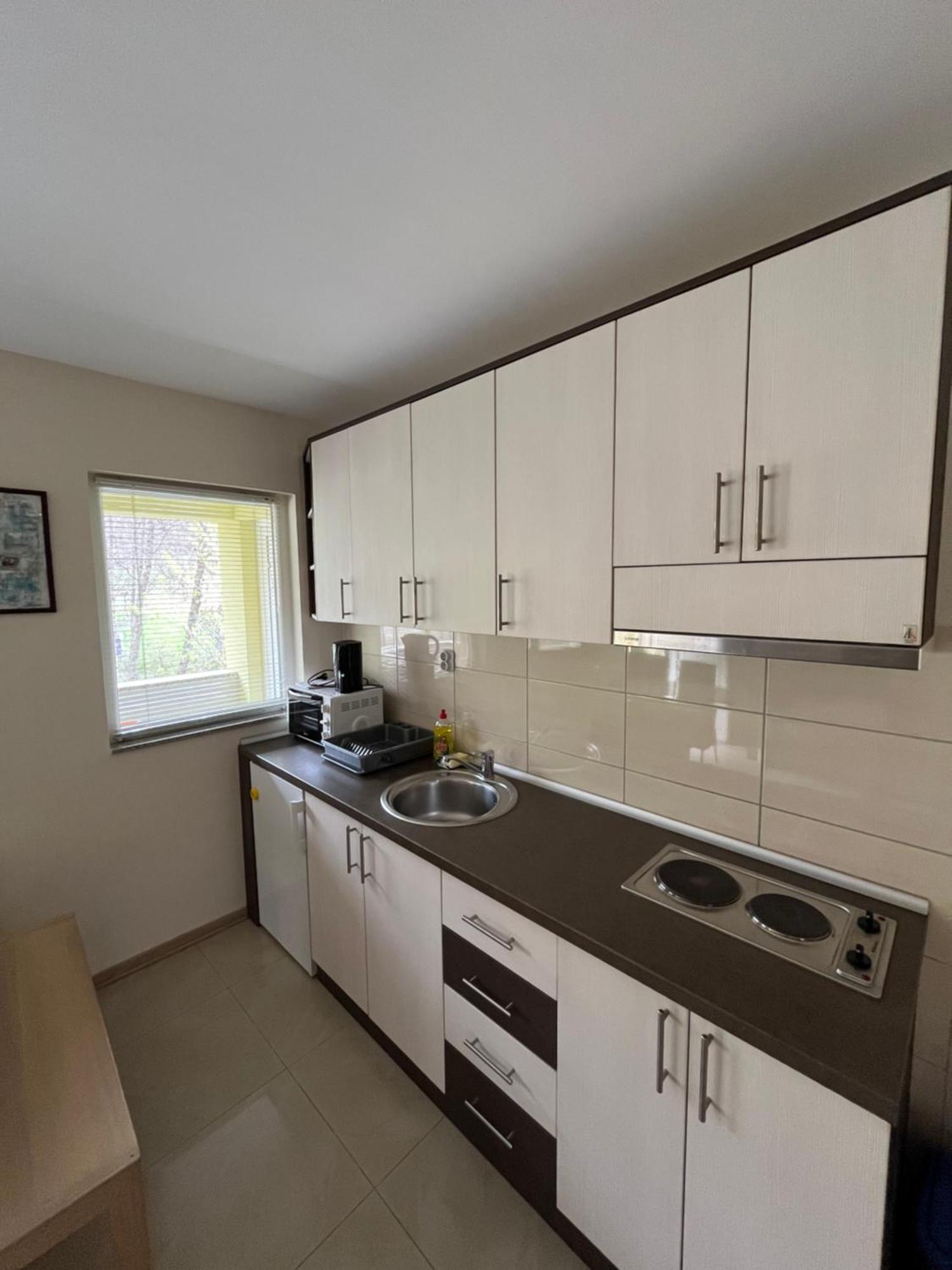 Apartmani Radoicic Josanicka Banja Exterior foto